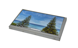 11.6寸edp接口的屏幕型號(hào) 11.6寸屏幕edp接口的特點(diǎn)